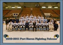 Port Huron Fighting Falcons