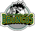 Humboldt Broncos logo