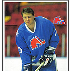 Quebec Nordiques, NHL Hockey Wikia