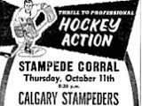 Calgary Stampeders