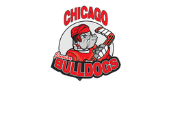 logo 2013-2016