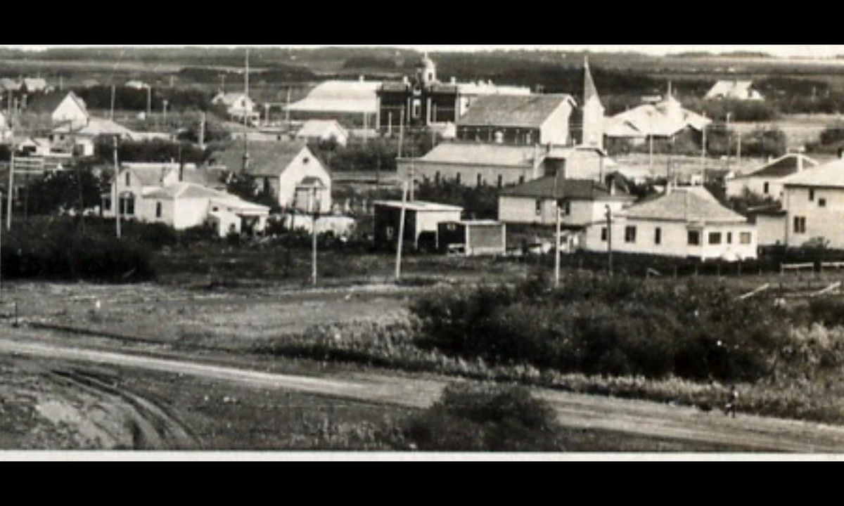 Wynyard Rink | Ice Hockey Wiki | Fandom