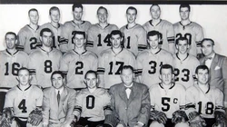 53-54PitHor.jpg (47 KB) Pittsburgh Hornets