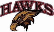 Hafford Hawks.jpg