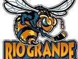 Rio Grande Valley Killer Bees (CHL)