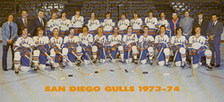 San Diego Gulls (1966-1974) • Fun While It Lasted