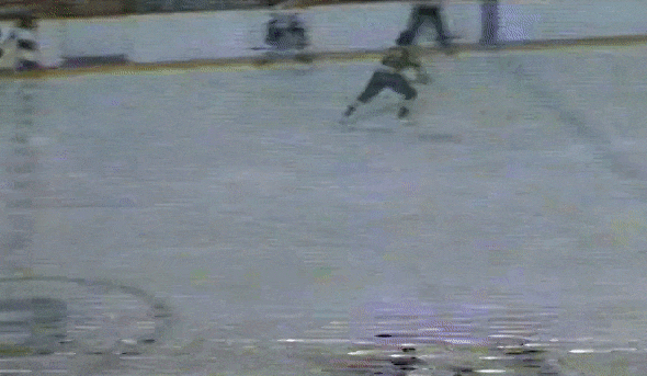 1973–74 Boston Bruins season, Ice Hockey Wiki