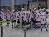 French men's ice hockey team in 2002