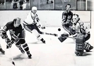 Bobby Hull, Wally Olds, Dunc Rousseau, Pete Donnelly in 1972-73 season action.