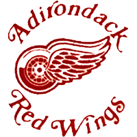 adirondack red wings jersey
