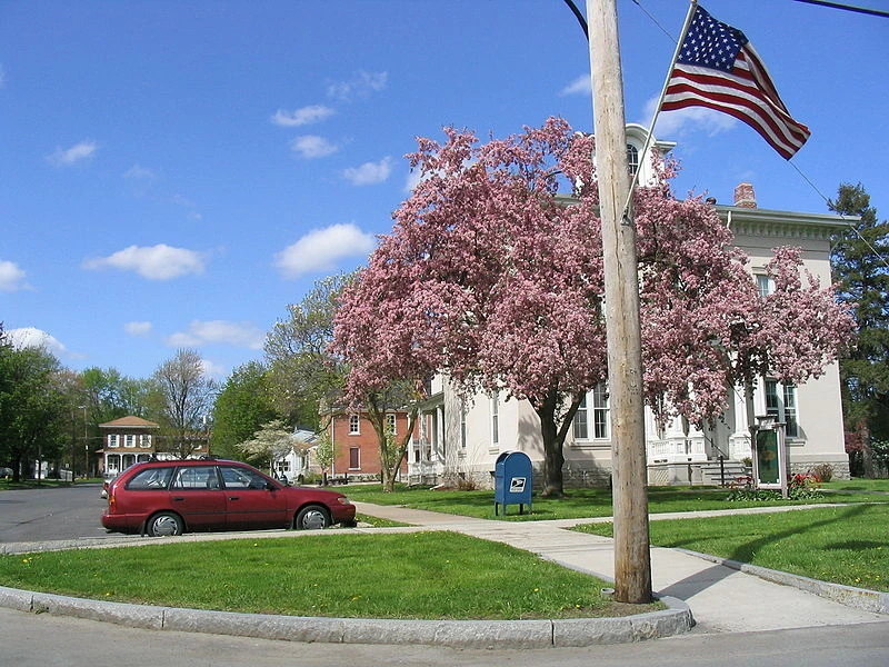 Liverpool, New York Ice Hockey Wiki Fandom