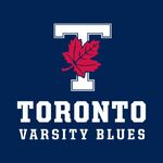 Toronto-poster-blue-540x540.jpg