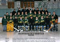 Stayner Siskins