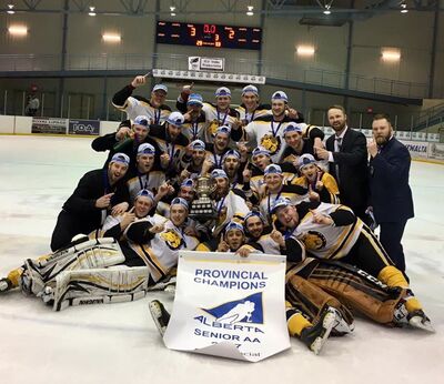 2017 Alberta Senior AA Champs Nanton Palominos