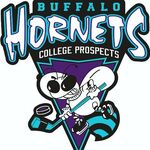 Buffalo Hornets logo
