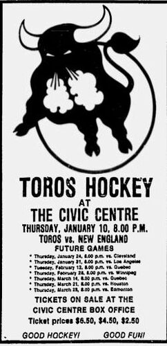 WHA 1973-74 Toronto Toros Wayne Carleton 9 Away Hockey Jersey — BORIZ