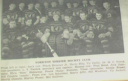 Yorkton Terriers