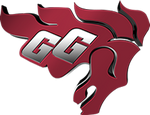 Ottawa geegees