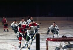 Charlie Burns' 1967-68 California / Oakland Seals Inaugural Season