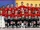 2007 AIHL season