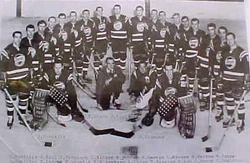 Buffalo Bisons