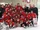 2012-13 COJCHL Season