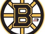 Winnipeg Bruins
