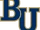 Bethel Royals women's ice hockey