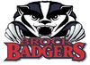 Brock badgers large.jpg