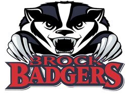 Brock badgers large