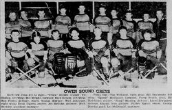 Owen Sound Greys