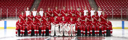 Wisconsin Badgers (WCHA)