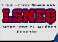 LSNEQ.png