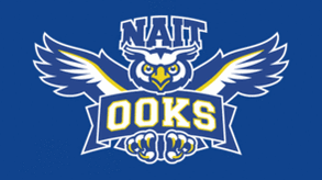 Nait-blue 294x165.gif