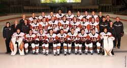 RIT Tigers (Atlantic Hockey)