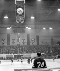 1995–96 Boston Bruins season, Ice Hockey Wiki
