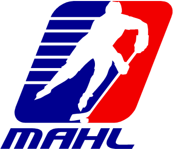 List of defunct and relocated National Hockey League teams - Wikipedia