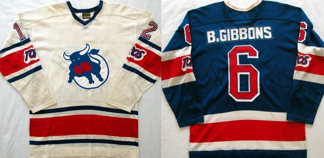 Les Binkley Toronto Toros WHA Hockey Jersey NEW Any Number