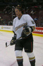 Teemu-ducks-cropped