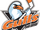 San Diego Gulls (1995–2006)