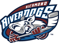 RiverDogs logo