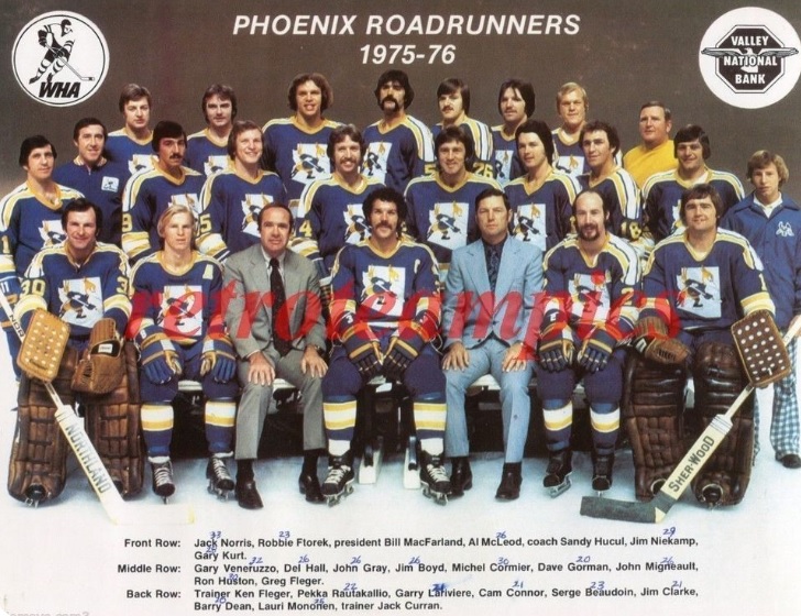 1975-77 WHA Mike Sleep 27 Phoenix Roadrunners White Hockey Jersey
