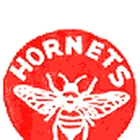 pittsburgh hornets jersey