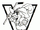 Salem Raiders