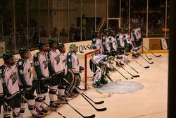 MichiganState hockey 2008