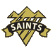 Selkirk-Saints-100.gif