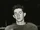 Max Labovitch