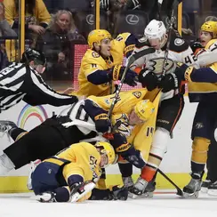 Ducks take on the  in the 2017 WCF in .