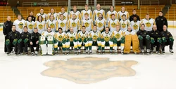 Alberta Golden Bears