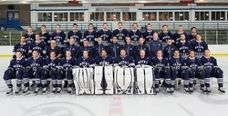 Mount Royal Cougars